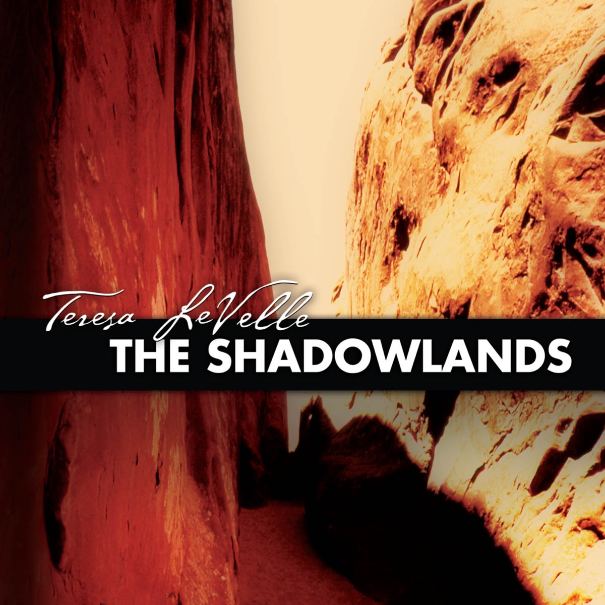 The Shadowlands by Danilo Lozano, Alexander Ezerman, David Dees, Ann Yeung, Michael Cameron, Carol Stephenson, Theresa Dimond, Stephen Cook, Mark Menzies, John Haspel Gilbert, Stephanie Ezerman & Setareh Beheshti album cover