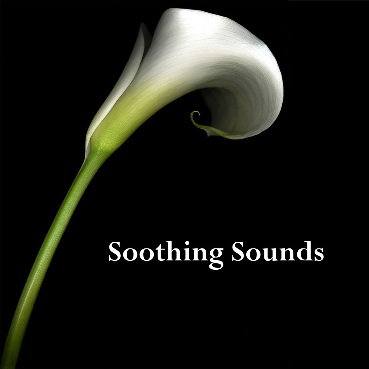 Soothing Sounds by Everness, Robert Preston & Sundip Shar album cover