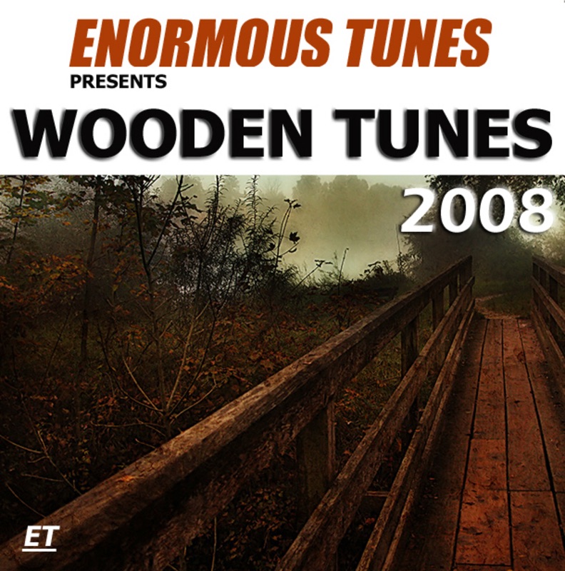 Wooden Tunes 2008 by EDX, Chris Reece, Daniel Portman, K-Skill, Victor Slate, Stanley Ross, Leventina, Tatana, Martin Roth, Frank Anthony, George F. Zimmer, Passenger 10, Nightflight, Tanja La Croix, Mr. P!NK, Pat Farrell, Carlos Russo, Seashells, Mr. Fiction & Maffi Jay album cover