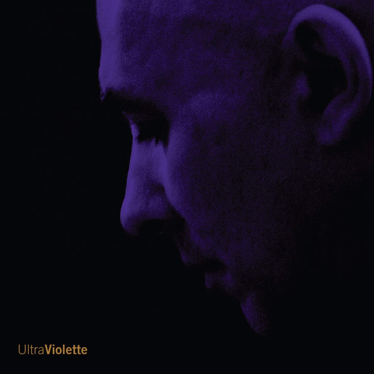 UltraViolette by Elizabeth Farnum, Maggie Lauer, John Rojak, Andrew Violette, Kaitilin Mahoney, Ensemble Pi, Janice Weber, Raemond Martin & Sherry Zannoth album cover