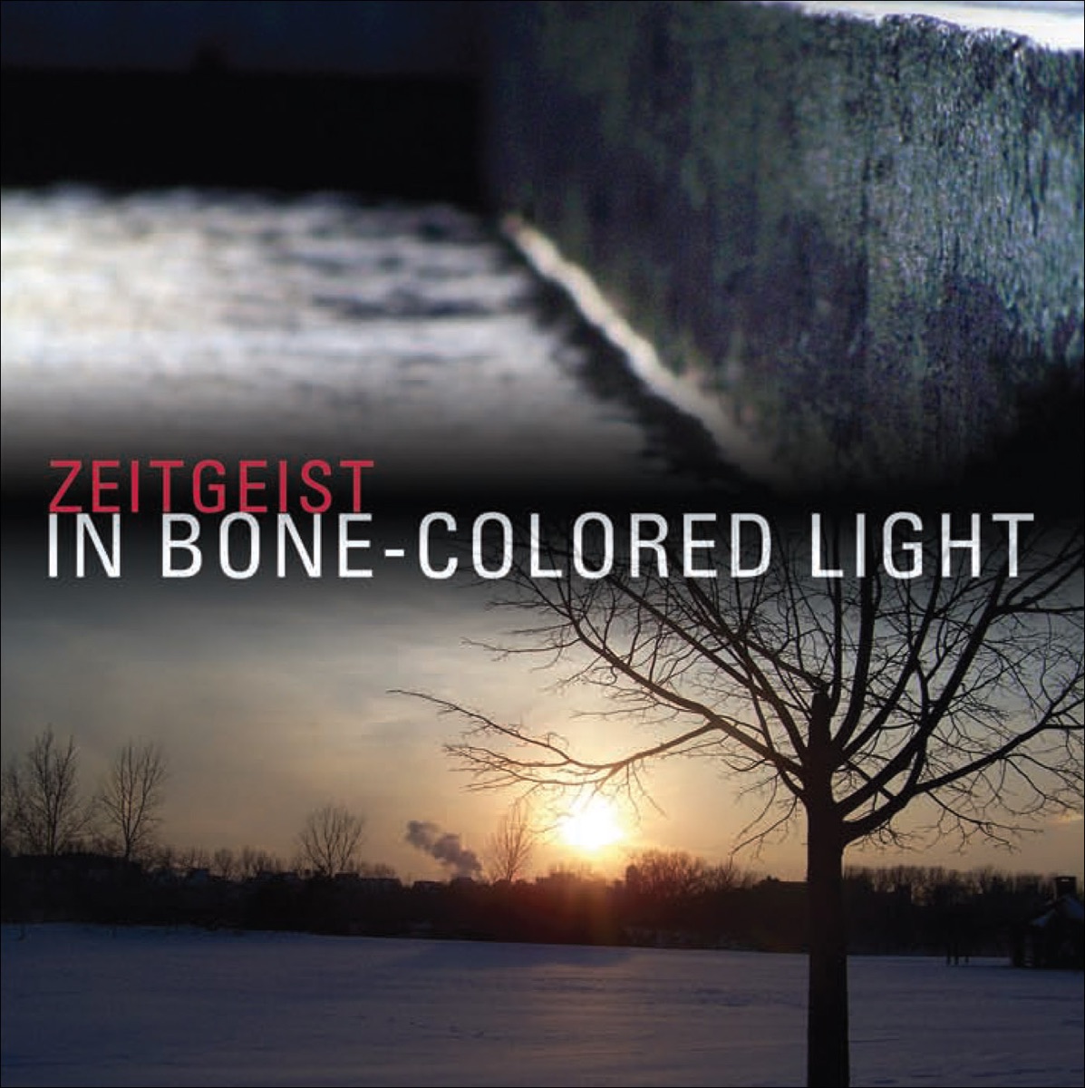Zeitgeist: In Bone-Colored Light by Zeitgeist album cover