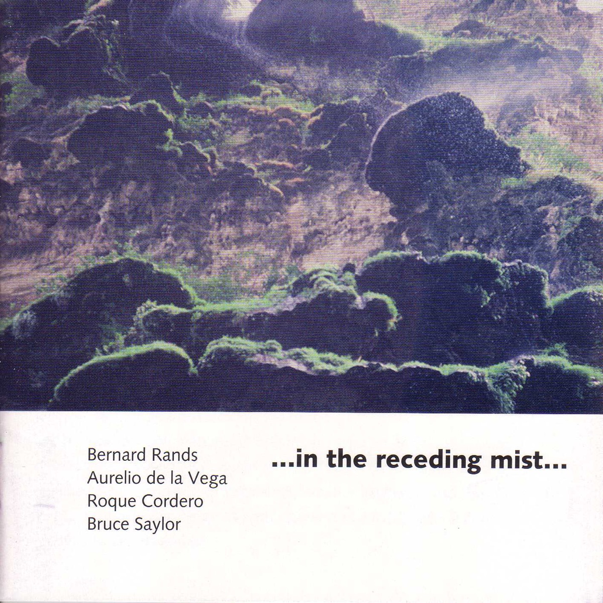 Rands, B.: …In the Receding Mist… - Vega, A. de La: Testimonial - Cordero, R.: Dodecaconcerto - Saylor, B.: See You In the Morning by North-South Consonance Ensemble, Max Lifchitz, Anne Marie Ketchum & Constance Beavon album cover