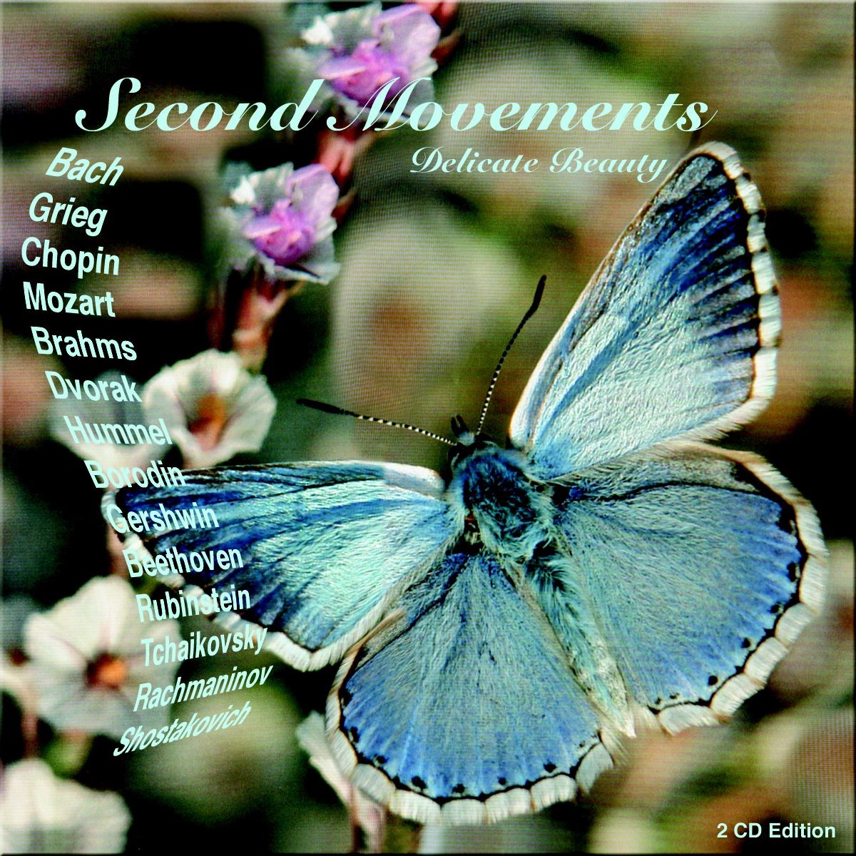 Second Movements - Delicate Beauty by Andrey Pisarev, Oxana Yablonskaya, Natasha Paremski, Alexei Bruni, Mira Yevtich, Polina Osetinskaya, Raimondo Campisi, Minkyung Cho & Valeri Grohovski album cover