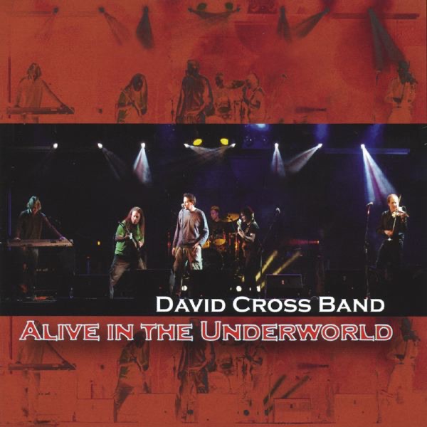 Alive In the Underworld (Live) by David Cross Band album cover