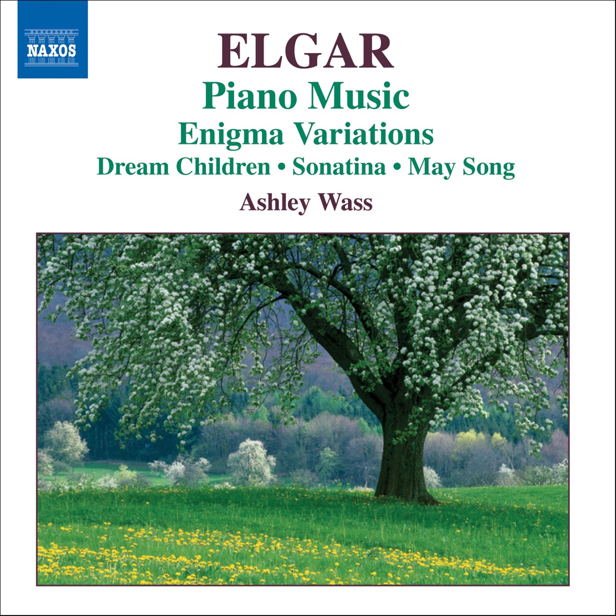 Elgar: Piano Music by Ashley Wass album cover