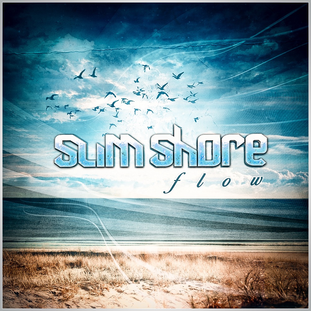 Flow - Single by Slim Shore album cover