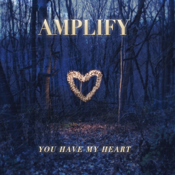 You Have My Heart by Amplify album cover