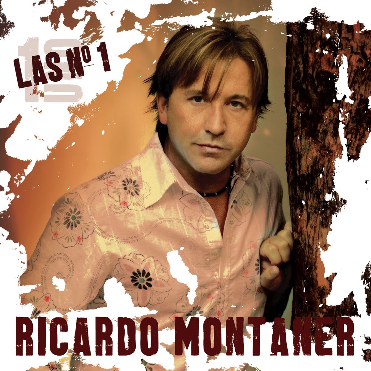 Las #1 de Ricardo Montaner by Ricardo Montaner album cover