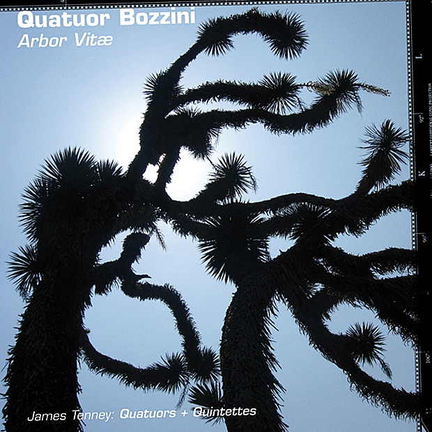 Arbor Vitæ by Quatuor Bozzini album cover