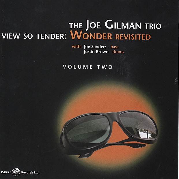 View So Tender: Wonder Revisited Vol. 2 by Joe Gilman Trio album cover