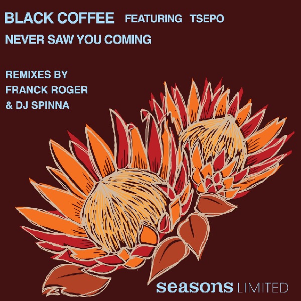 Never Saw You Coming - Single by Black Coffee album cover