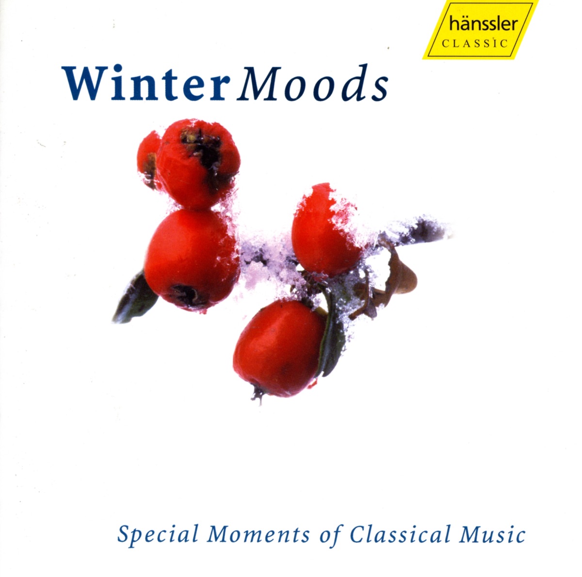 Winter Moods by Sir Neville Marriner, Academy of St Martin in the Fields, Marion Kokott, Stefan Jagemann, Natarajan, Christoph Renner, Andreas Schmidt, Rudolf Jansen, Iona Brown, Klaus-Peter Hahn, Moscow Radio Symphony Orchestra, Annegeer Stumphius, Alexander Stevenson, Wolfgang Schone, Gächinger Kantorei Stuttgart, Helmuth Rilling & Stuttgart Bach Collegium album cover