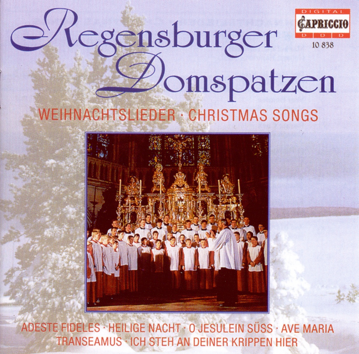 Christmas Choral Concert: Regensburg Cathedral Choir - Lutzel, J.H. - Pachelbel, J. - Handl, J. - Rheinberger, J.G. - Brahms, J. - Britten, B. by Regensburg Cathedral Choir, Roland Büchner, Georg Ettstaller, Markus Geitner, Stephan Weinmann & Andreas Brassat album cover