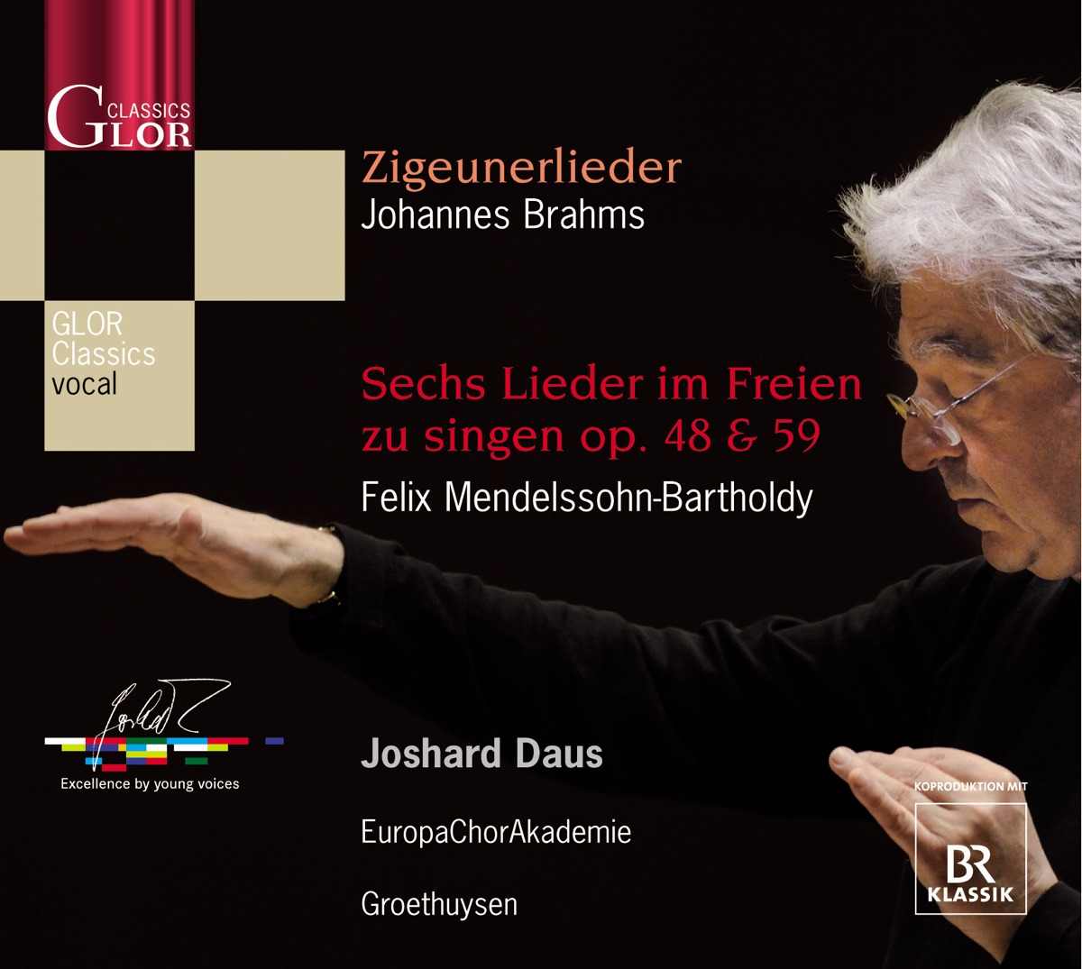 BRAHMS, J.: 11 Zigeunerlieder - 6 Lieder - Opp. 48, 59 by Joshard Daus, Andreas Groethuysen & Europa Chor Akademie album cover