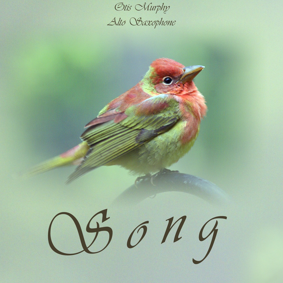 Song by Otis Murphy, Indiana University Wind Ensemble & "Stephen Pratt" "Ray Cramer" album cover