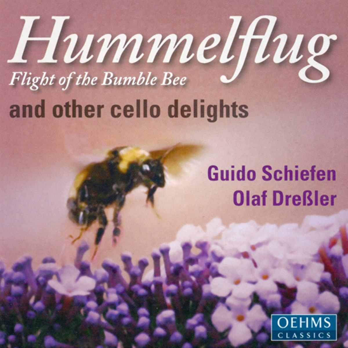 Cello Recital: Schiefen, Guido - Rimsky-Korsakov, N. - Saint-Saens, C. - Frescobaldi, G. - Ravel, M. (Hummelflug and Other Cello Delights) by Guido Schiefen & Olaf Dressler album cover
