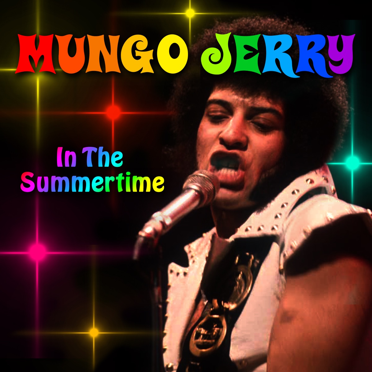 In The Summertime - Single by Mungo Jerry album cover