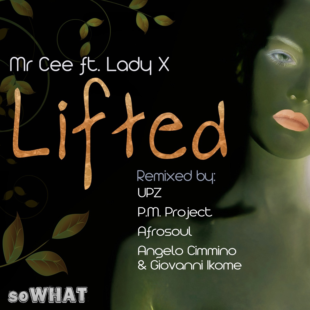 Lifted (feat. LADY X) by Mr. Cee album cover