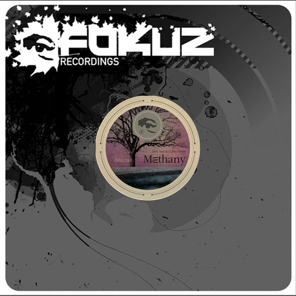 Methany / Losing Brave - Single by Mutt, Paul SG & Blue Motion album cover