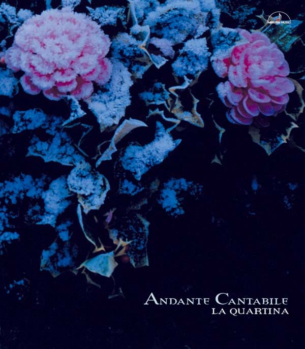 Andante Cantabile ~for 4 Cellos~ by La Quartina, Ryoichi Fujimori, Shunsuke Fujimura, Hisaya Dogin & Ayumu Kuwata album cover