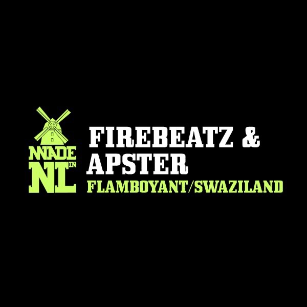 Flamboyant / Swaziland - Single by Firebeatz & Apster album cover