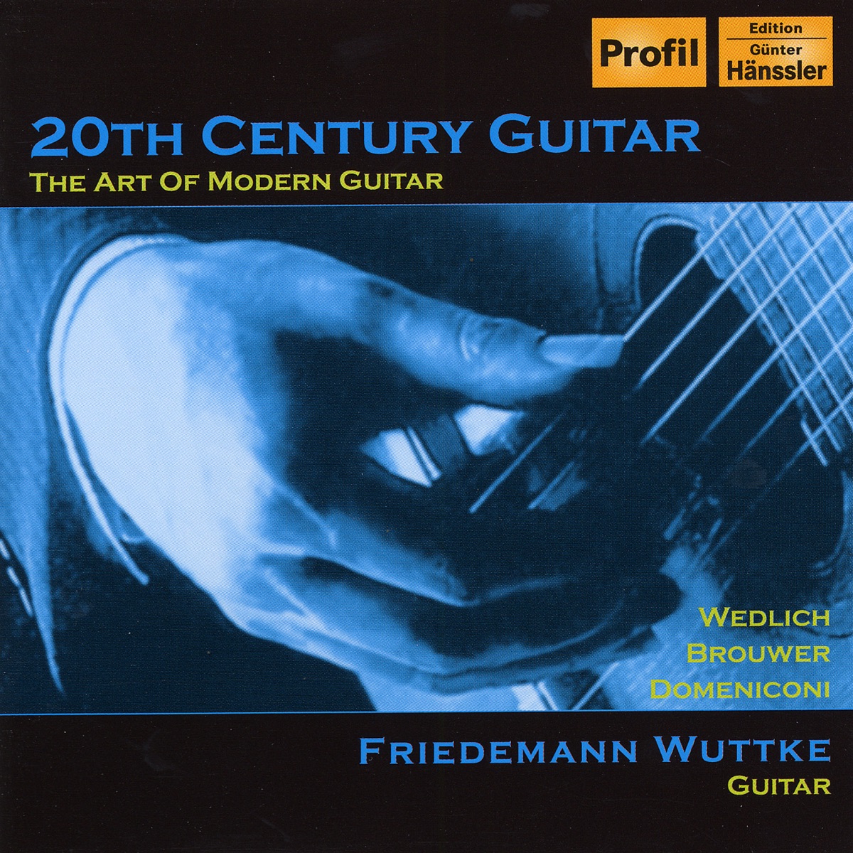 Brouwer: Guitar Concerto, "Elegiaco" - Wedlich: Guitar Sonata - Domeniconi: Koyunbaba (20th Century Guitar) by Igor Zhukov & New Moscow Chamber Orchestra album cover