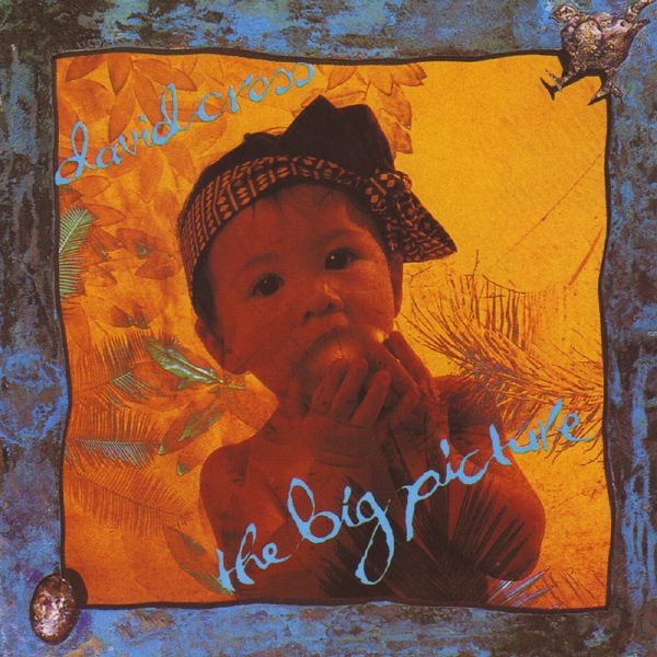 The Big Picture by David Cross album cover