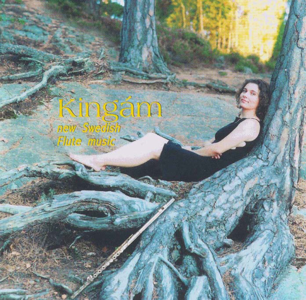 New Swedish Flute Music by Markus Leoson, Kinga Prada, Ilona Janky Prada, Stellan Sagvik & Filarmonica de Cluj album cover