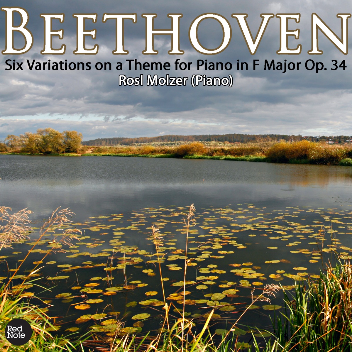 Beethoven: Six Variations on a Theme for Piano in F Major Op. 34 by Rosl Molzer album cover