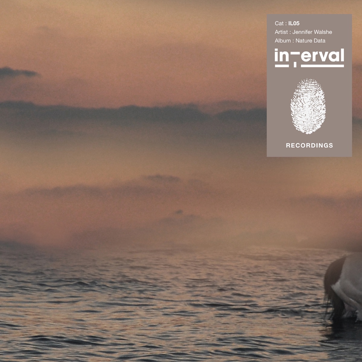 Nature Data by Jennifer Walshe album cover