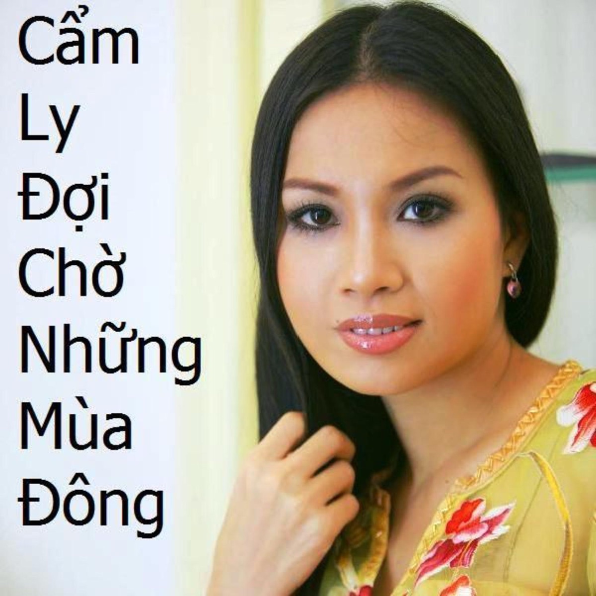Đợi Chờ Những Mùa Đông by Cẩm Ly album cover
