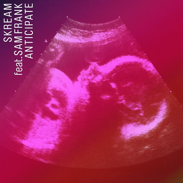 Anticipate (feat. Sam Frank) - Single by Skream album cover