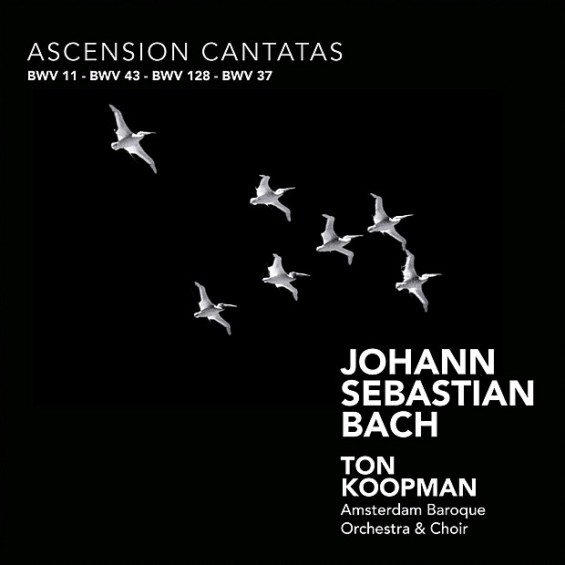 Bach: Ascension Cantatas by Ton Koopman, Amsterdam Baroque Orchestra & Amsterdam Baroque Choir album cover