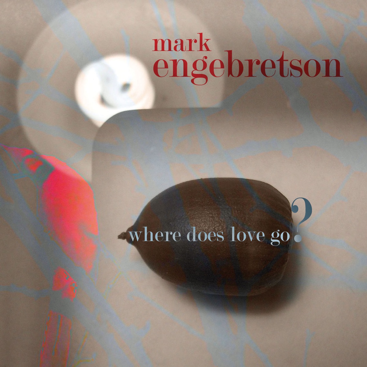Engebretson, M.: Where Does Love Go? by Scott Rawls, Susan Fancher, Steve Stusek, Inara Zandmane, Brooks Whitehouse, Alexander Wagendristel, John Fadial, Janet Orenstein, Lorena Guillen & Ingrid Wagner-Kraft album cover