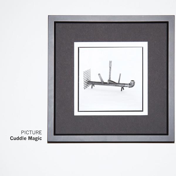 Picture by Cuddle Magic album cover