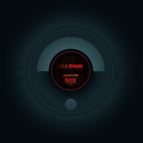 Bushido / a Flame In Your Heart - Single by SPL & Triage album cover