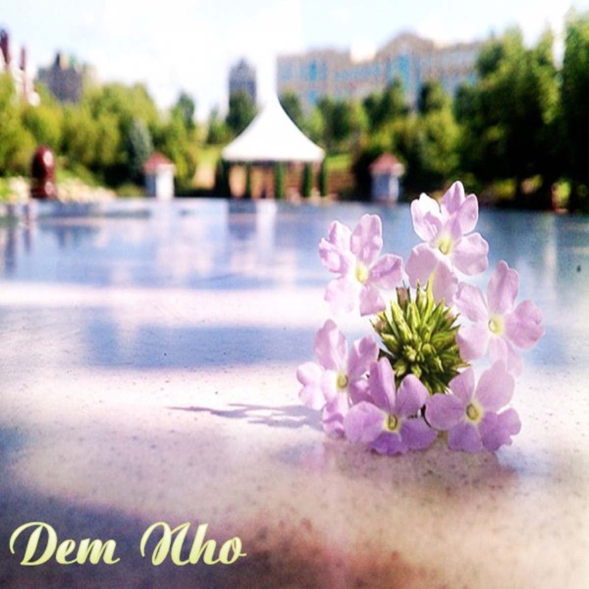 Dem Nho by Cẩm Ly album cover