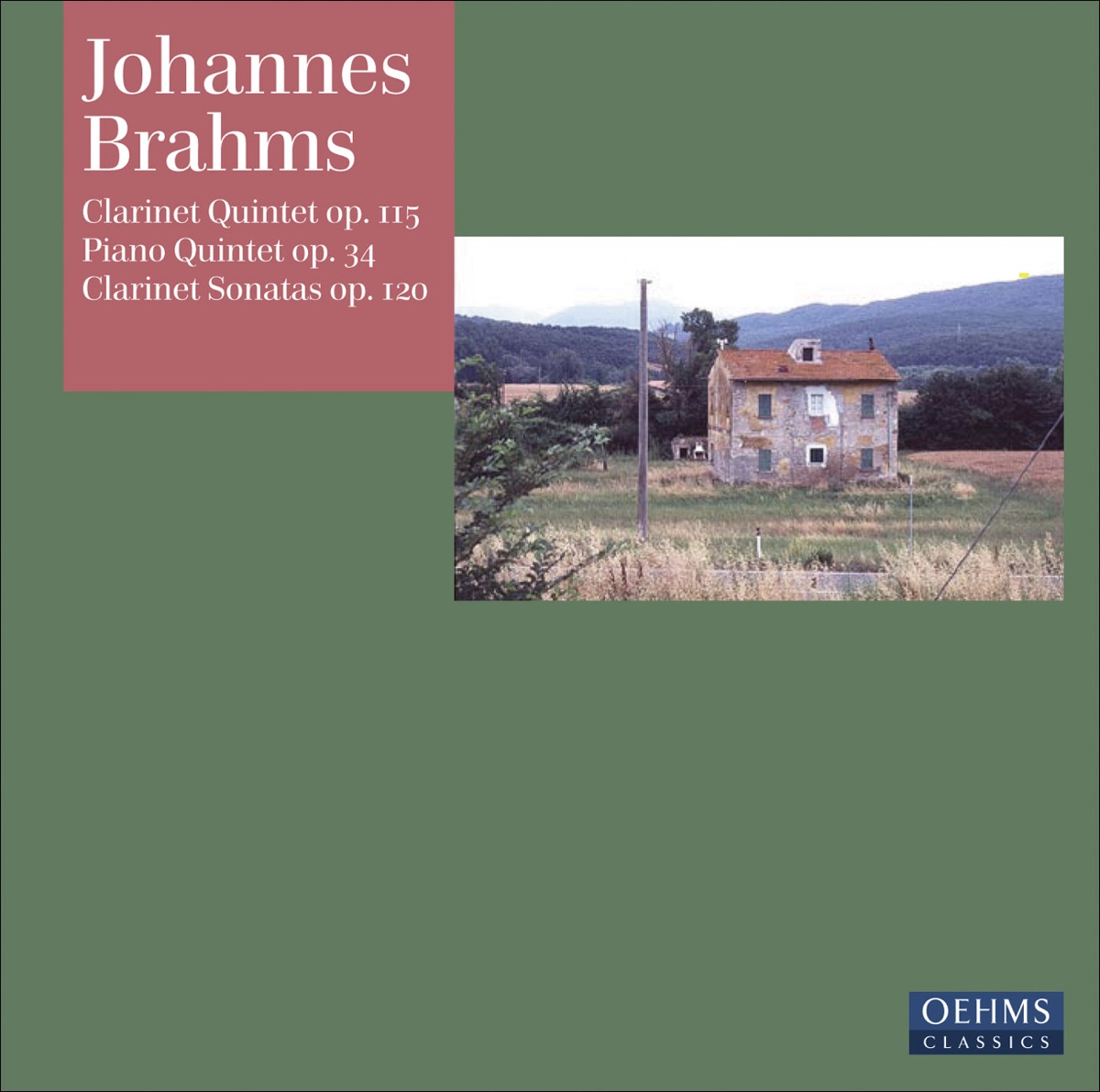 Brahms, J.: Clarinet Quintet - Piano Quintet - Clarinet Sonatas Nos. 1 and 2 by Hartmut Rohde, Ralph Manno, Guido Schiefen, Michaela Paetsch-Neftel, Rahel Cunz & Alfredo Perl album cover