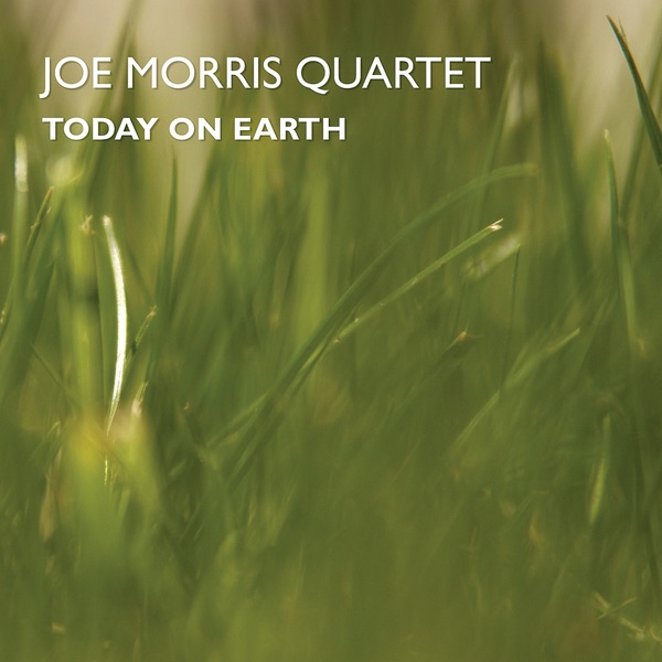 Today On Earth by Joe Morris album cover