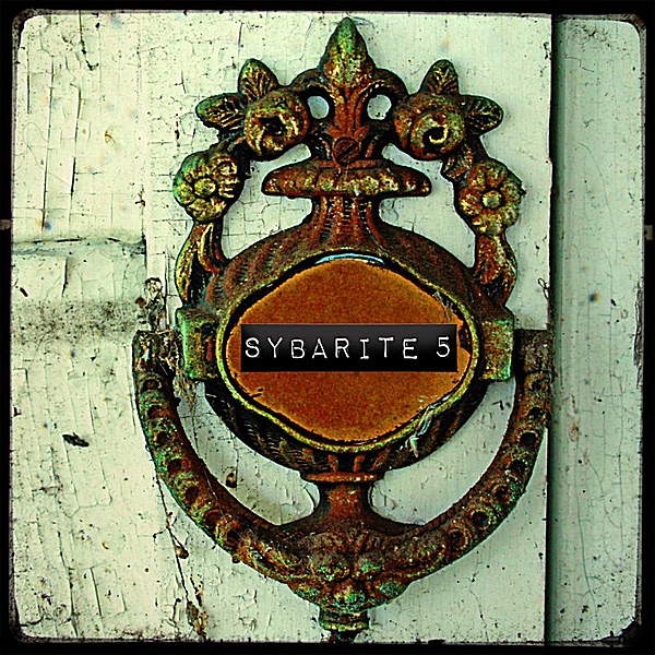 Disturb the Silence - EP by Sybarite5 album cover