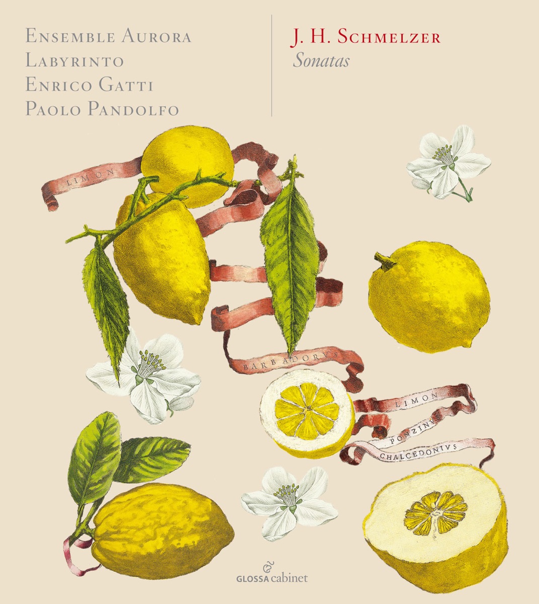 Schmelzer: Sonatas by Paolo Pandolfo, Enrico Gatti, Ensemble Aurora & De Labyrintho album cover