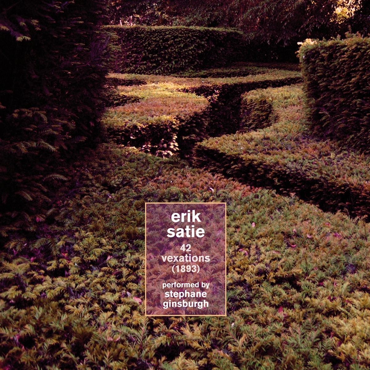 Satie: 42 Vexations by Stephane Ginsburgh album cover