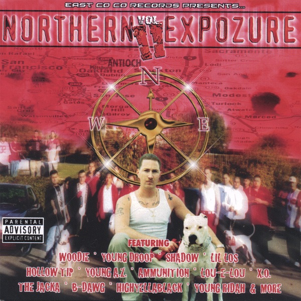 NORTHERN EXPOZURE VOL.2 by Woodie album cover