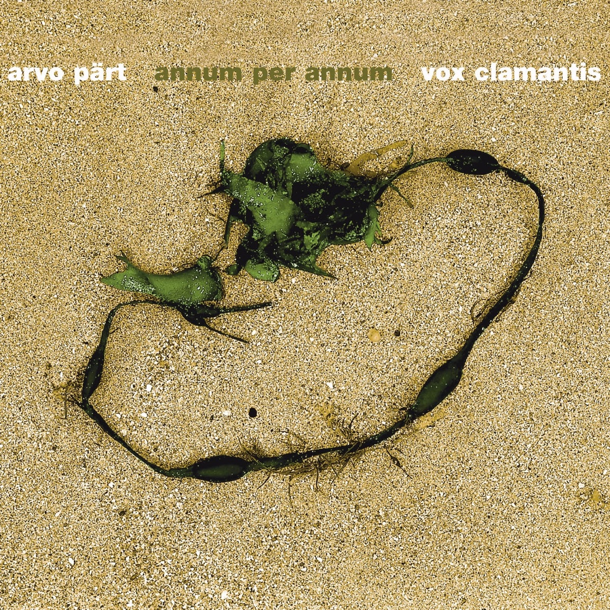 Arvo Part : Annum per annum & grégorien by Vox Clamantis, Jaan-Eik Tulve & Aare-Paul Lattik album cover