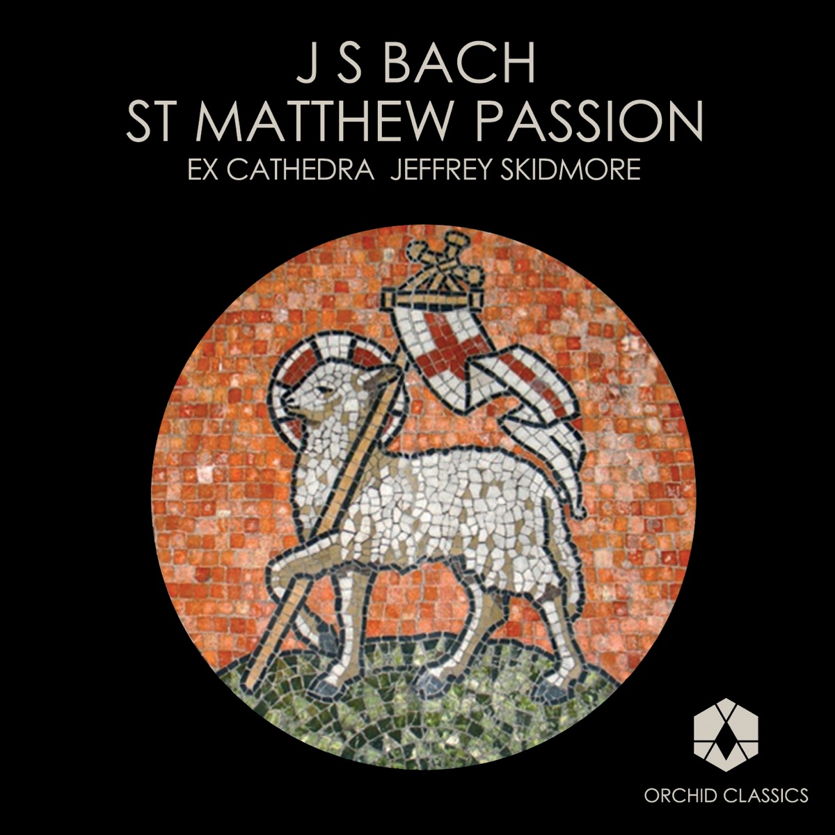 Bach, J.S.: St. Matthew Passion by Eamonn Dougan, Jeremy Budd, James Birchall, Greg Skidmore, Grace Davidson, Christopher Watson, Mark Chambers, Natalie Clifton-Griffith, Matthew Venner, Ex Cathedra Choir, Ex Cathedra Baroque Orchestra & Jeffrey Skidmore album cover