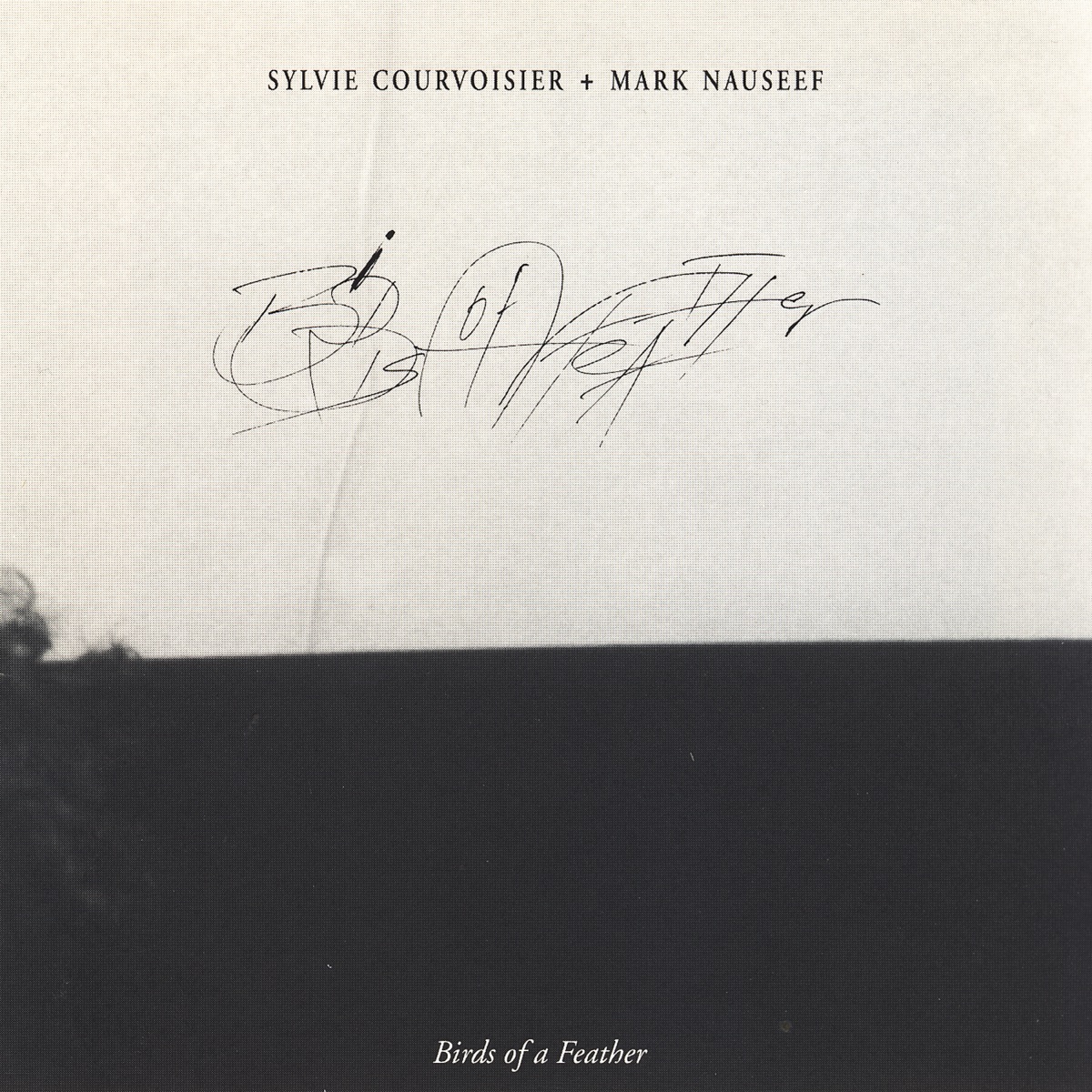 Birds of a Feather by Sylvie Courvoisier & Mark Nauseef album cover