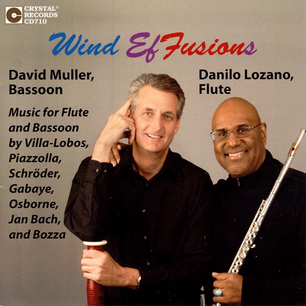 Wind Effusions by David Muller & Danilo Lozano album cover