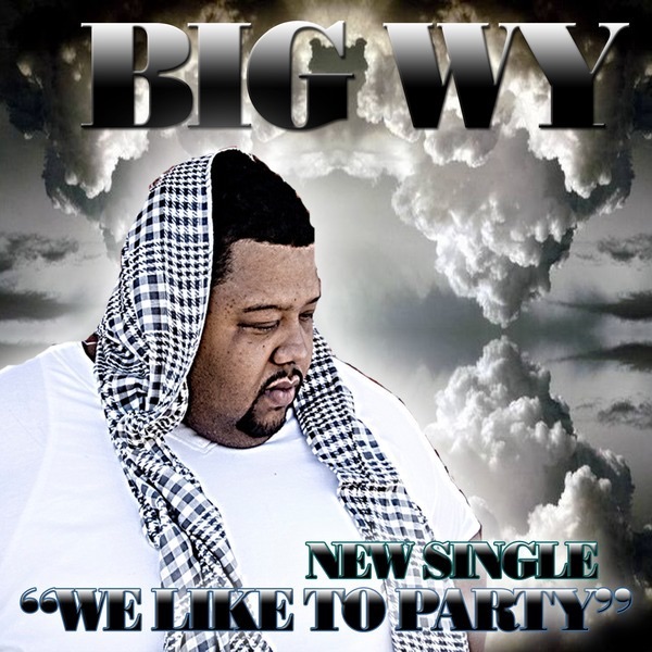 We Like to Party - Single by Big Wy album cover