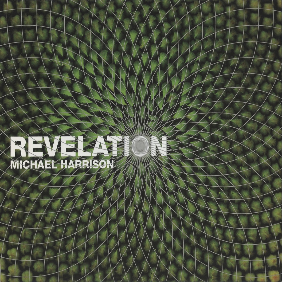 Revelation by Michael Harrison album cover