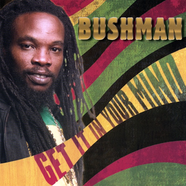 Get It In Your Mind by Bushman album cover